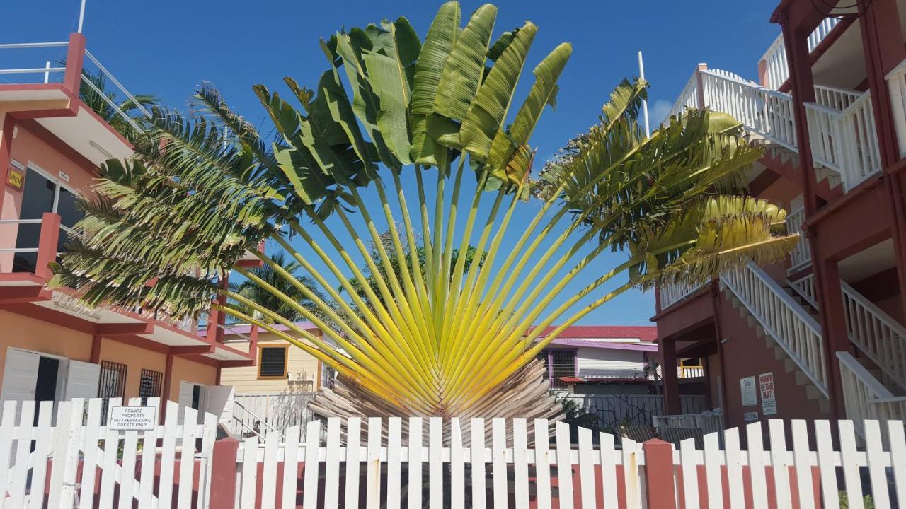 Caye Caulker Condos Esterno foto